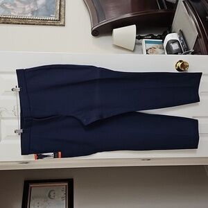 Banana Republic Deep Blue Trousers